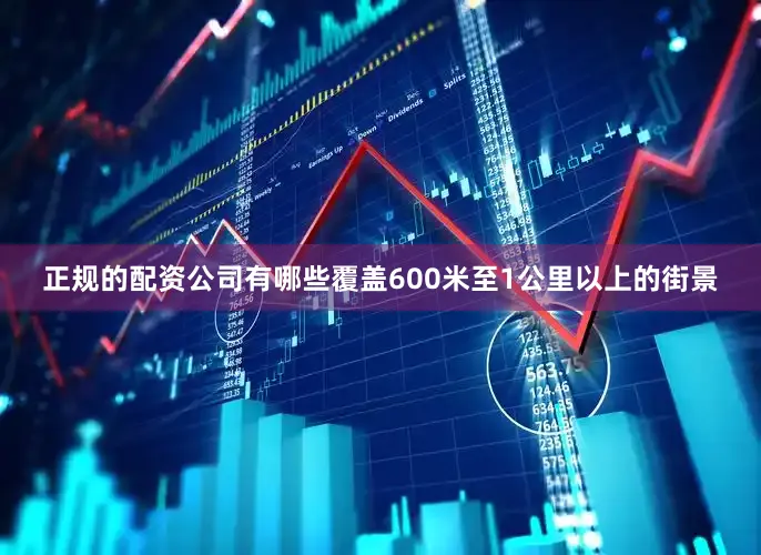 正规的配资公司有哪些覆盖600米至1公里以上的街景