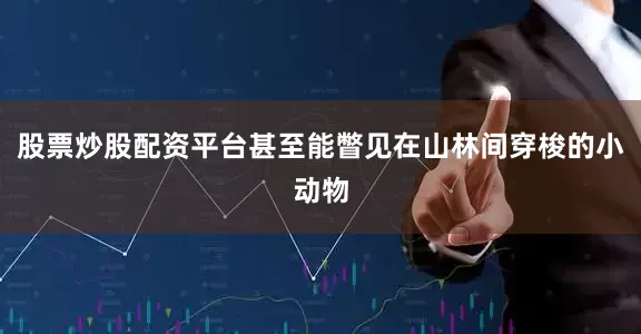 股票炒股配资平台甚至能瞥见在山林间穿梭的小动物
