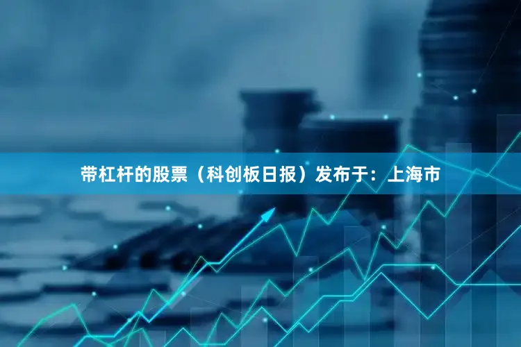 带杠杆的股票（科创板日报）发布于：上海市